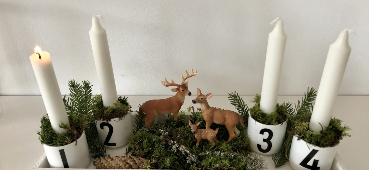 Hej Advent!